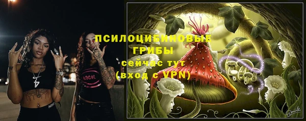 стафф Богородицк