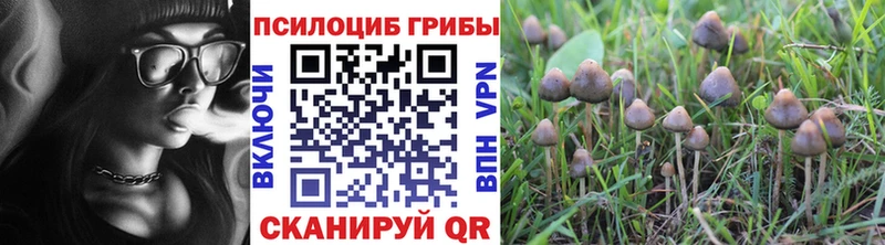 Псилоцибиновые грибы мухоморы  MEGA сайт  Кедровый 